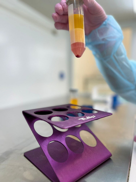 Slider image (6) ALPHA MEDICA STEM CLINIC